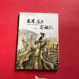 花布底片老相机（你为梦想努力过吗？这个故事教会你如何追寻人生梦想）