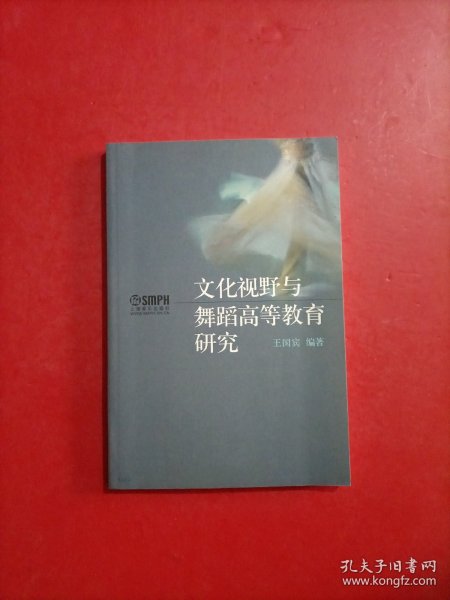 北京舞蹈学院教材：文化视野与舞蹈高等教育研究