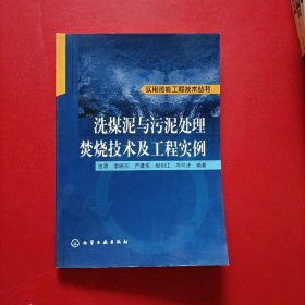 洗煤泥与污泥处理焚烧技术及工程实例