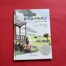 暴风雨中的孩子：美国凯迪克银奖作品