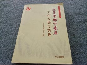 领导干部工作实务丛书：领导干部下基层工作方法与实务