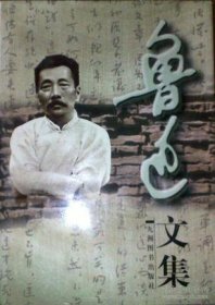 鲁迅文集（上下 全两2册）