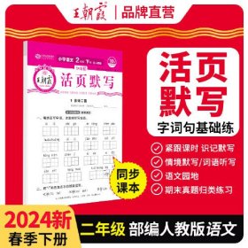 2024王朝霞少而精·活页默写小学二年级2年级语文部编版人教版（下）