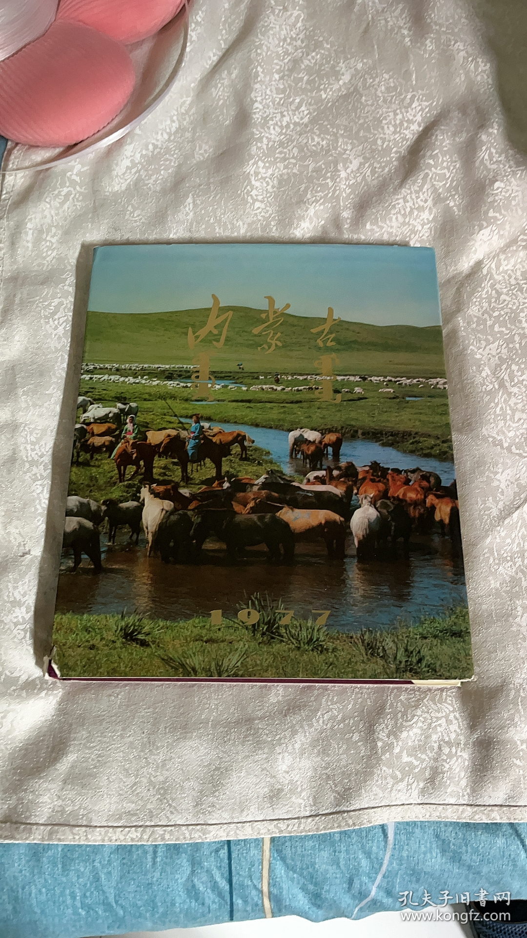 内蒙古1977