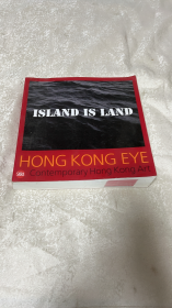 Hong Kong Eye: Hong Kong Contemporary Art  香港眼：香港当代艺术