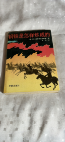 钢铁是怎样炼成的
