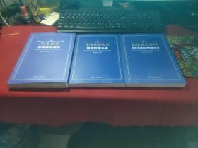 职务犯罪常见罪名精解常见职务犯罪疑难问题认定+监察机关办理职务犯罪案件处置标准+职务犯罪常见罪名精解【3本合售】