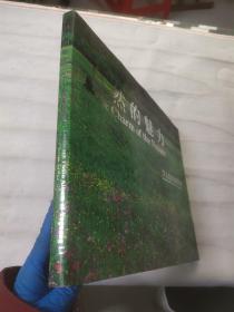 自然的魅力：李玉光風光攝影集