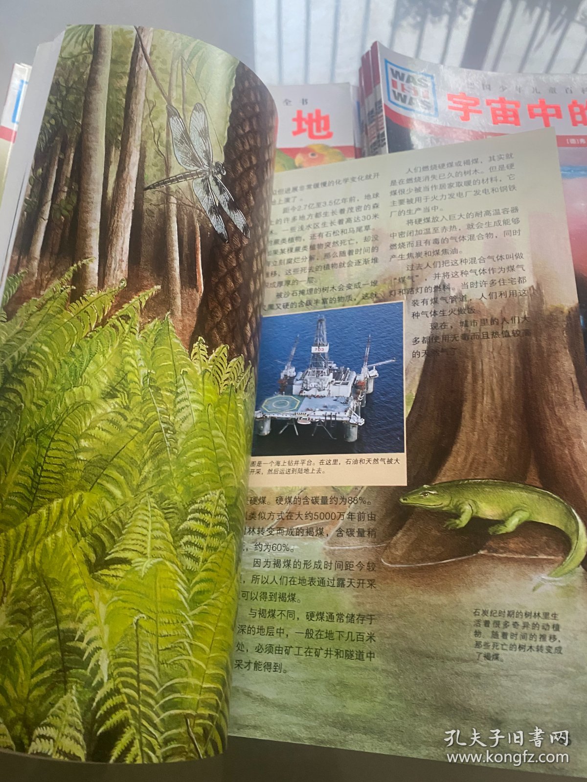 点击查看原图 德国少年儿童百科知识全书 58本合售 实物拍摄 看图发货