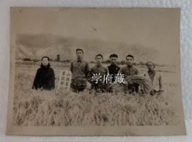 1951年山西农业试验田模范小组在农产地现场， 平均产量713斤