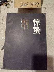 文学季刊：惊蛰2013年第4期