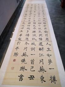 山西师范大学第二届书法作品：苏晓琳书法作品 大江东去浪淘尽