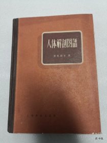 人体解剖图谱 上海卫生出版社