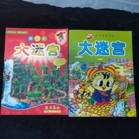 大迷宫-3本合售，品见图