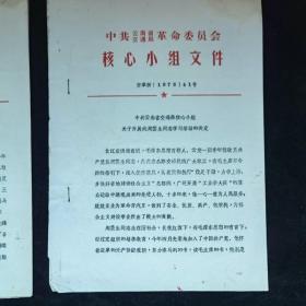 中共云南省交通局革委会核心小组文件1973年40.41号