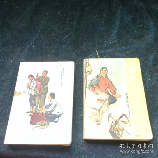 申请入党日记本两本（两本合售）
