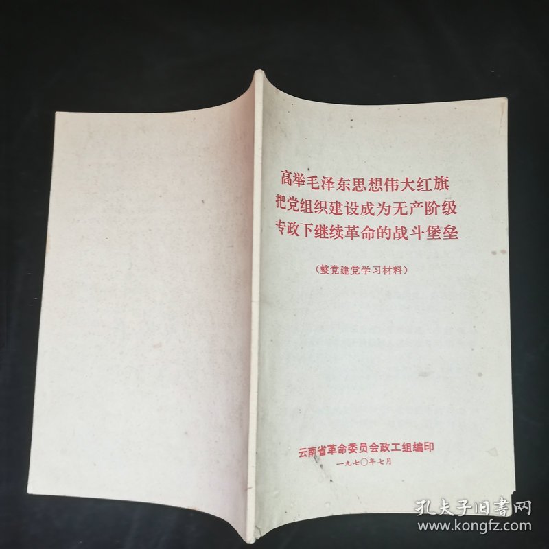 高举毛泽东思想伟大红旗把党组织建设成为无产阶级专政下继续革命的战斗堡垒