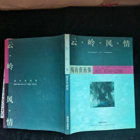 云岭风情：梅肖青画集