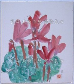 《本多正和 シクラメン》本多正和，１枚；（本多正和 シクラメン）