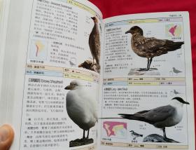 鸟——全世界800多种鸟的彩色图鉴（2003年出版，全彩图）