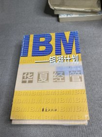 银湖计划――IBM的转型与创新