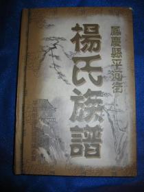 凤庆县平河街杨氏族谱