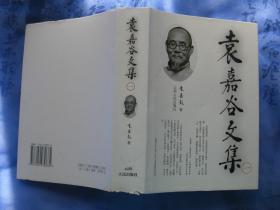 袁嘉谷文集 一