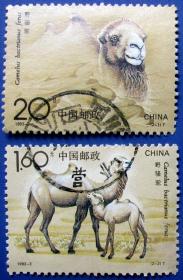 1993-3，野骆驼全套2张--全套邮票甩卖--实物拍照--永远保真！