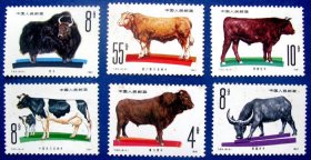 T63（1981年发行），畜牧业-牛（黄牛、奶牛、水牛、红牛、耗牛和杂种牛）全套6张--全新全套邮票甩卖--实拍--包真