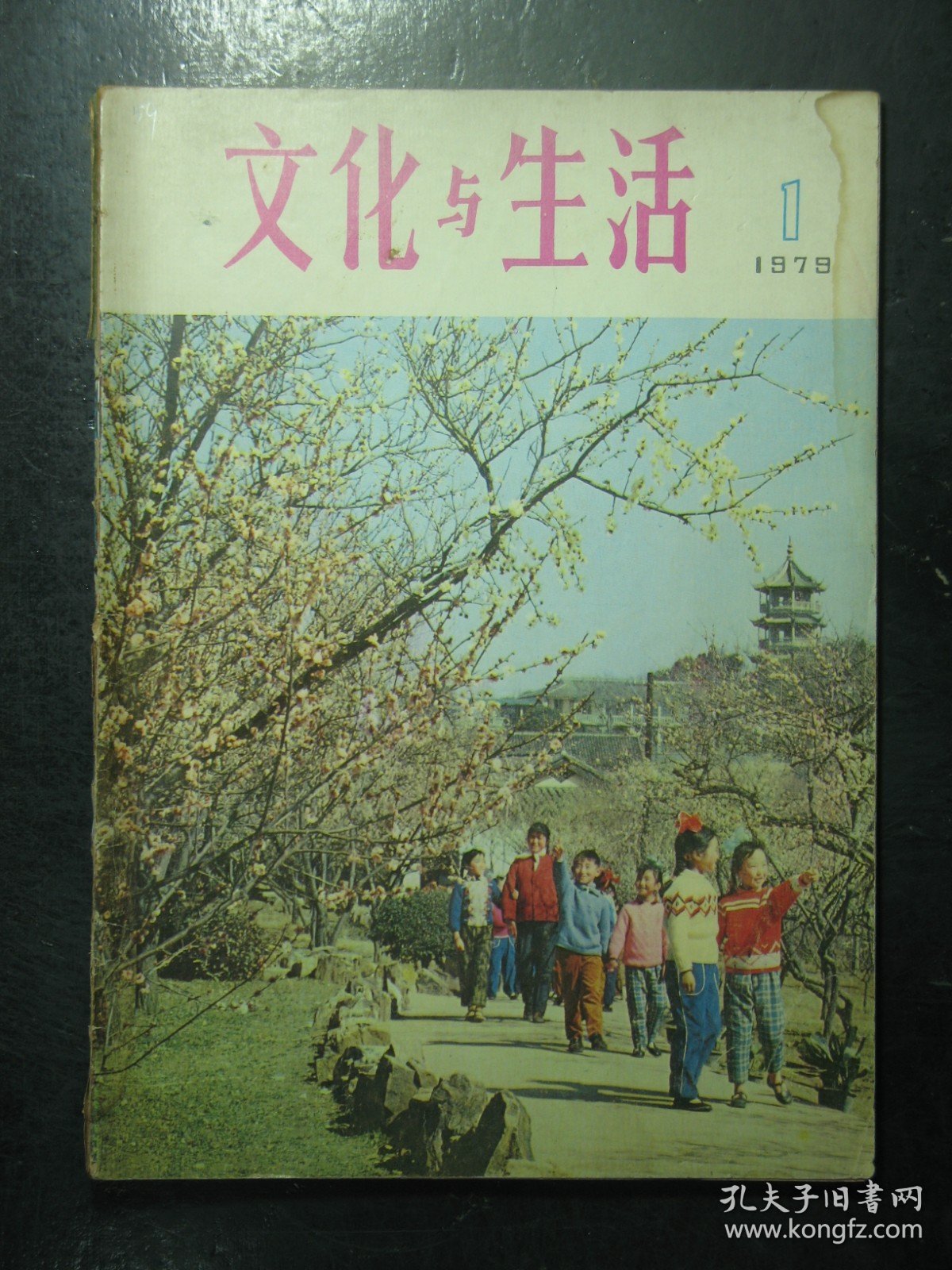 杂志 文化与生活 1979年第1期（59)