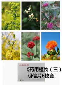 《药用植物（三）》明信片6枚套