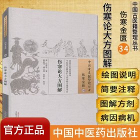 中国古医籍整理丛书（伤寒金匮34）：伤寒论大方图解