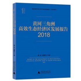 (2018)黄河三角洲高效生态经济区发展报告国富论