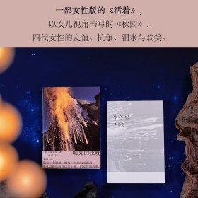 明亮的夜晚（一部女性版的《活着》，四代女性的友谊、抗争、泪水与欢笑。天才80后作家崔恩荣长篇，大山文学奖获奖作）