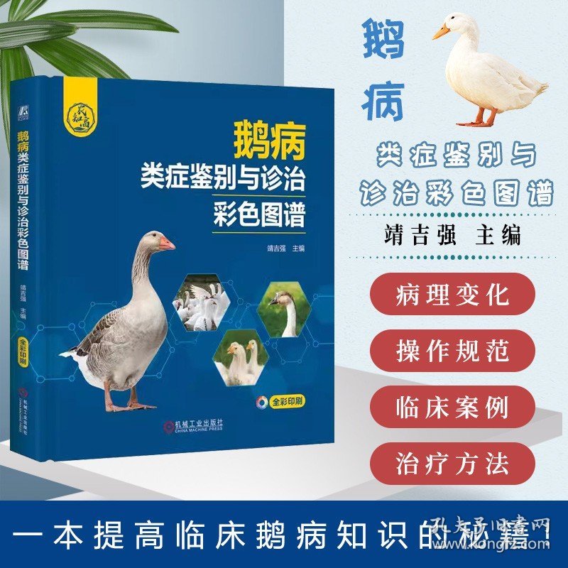 鹅病类症鉴别与诊治彩色图谱 靖吉强 消化系统疾病鉴定诊断 细菌性疾病  产蛋率  病毒性疾病