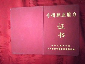 专项职业能力证书（刺绣）