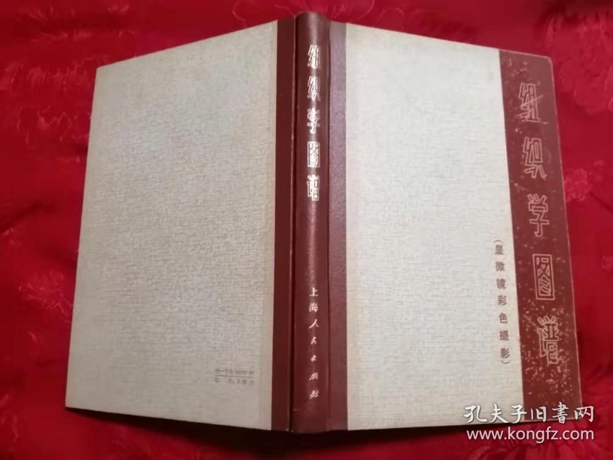 组织学图谱（显微镜彩色摄影）