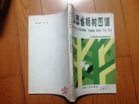 山西省杨树图谱