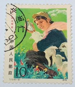 1976年 T 17 在广阔天地里【6-5】 邮票 【盖销票1枚】
