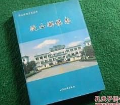 淀山湖镇志