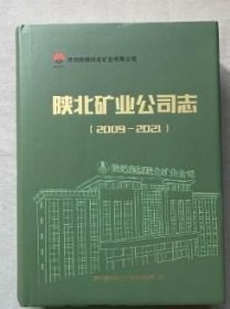 陕北矿业公司志（2009--2021）16开布面硬精装717页