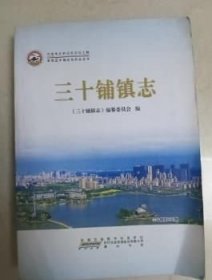 金安区乡镇志名村志丛书：三十铺镇志