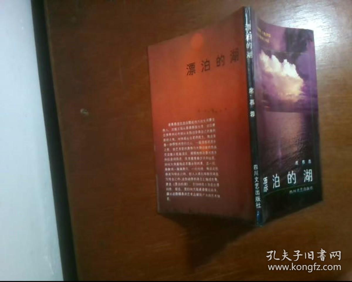 漂泊的湖