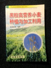 黑粒高营养小麦种植与加工利用