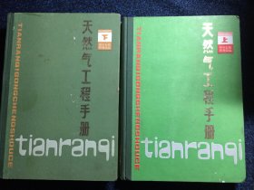 天然气工程手册 上下