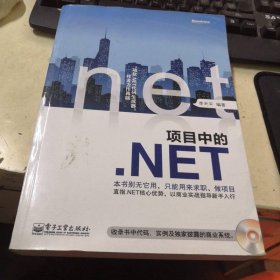 項目中的.NET