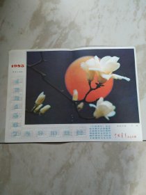 中国青年杂志插页1985年历