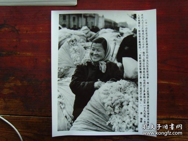 超大尺寸：1982年，山东省平原县城关公社侯俊香，把卖棉花多收的五百多元钱，退还给国家棉花收购站