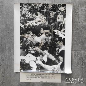 超大尺寸：1990年，广州市民选购献花