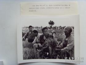 1978年，郑州花园口公社党委书记白增奎，下地劳动中和老农交谈